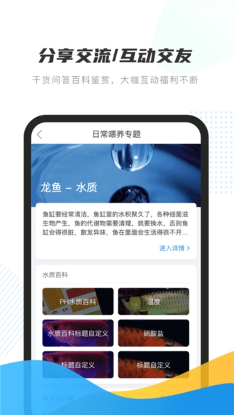 龙巅4