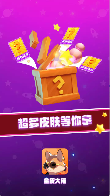 V10全皮大佬