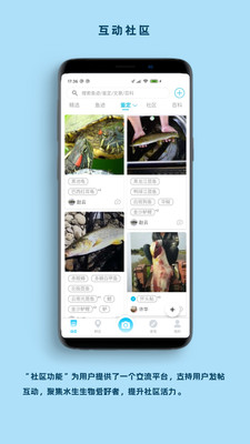 看鱼(拍照识别鱼) 安卓版v2.6.6