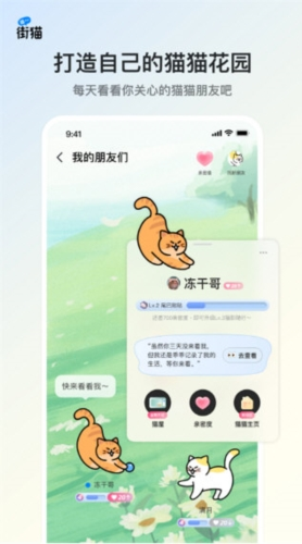 哈啰街猫