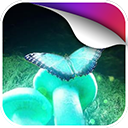 荧光动态壁纸下载安装手机版免费软件