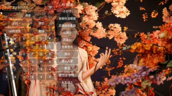 菠萝影视TV端图片6