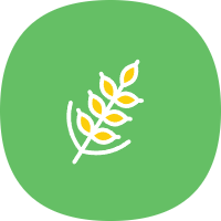 麦子下载app最新版v3.0.2 纯净免费版