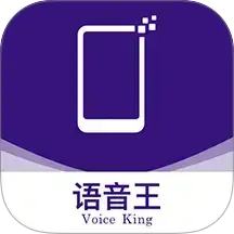 语音王