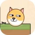 救救狗狗 下载官方正版