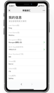 熊猫速汇6