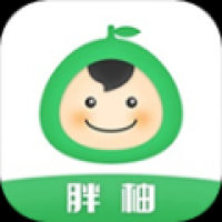 胖柚