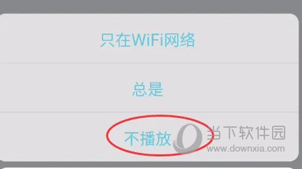 小鹰看看