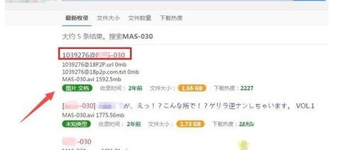 磁力王