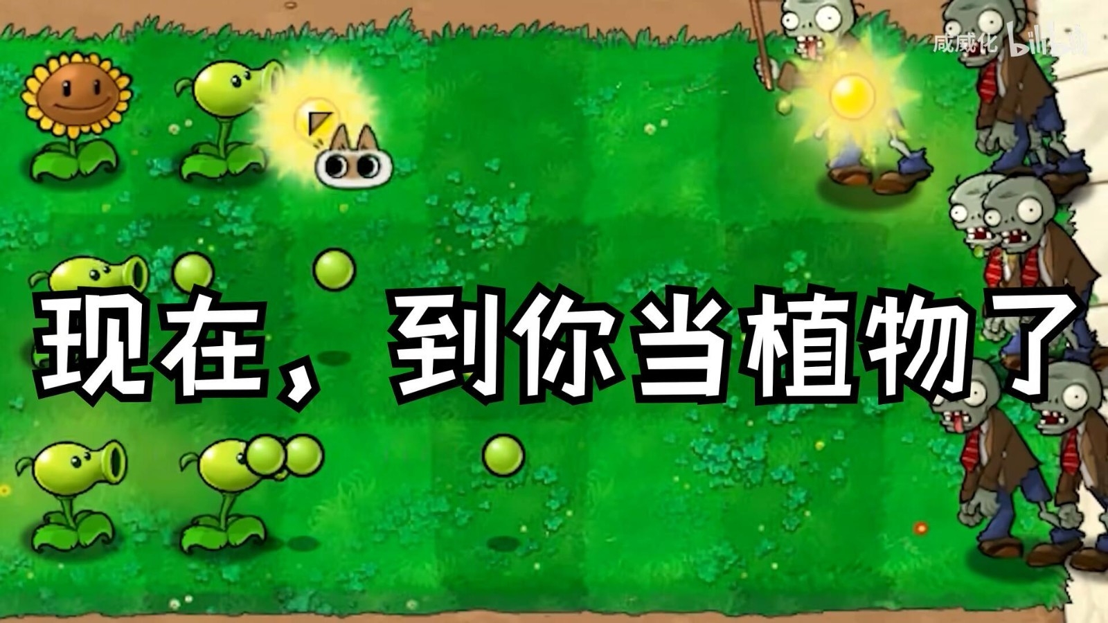 植物大战僵尸繁琐版游戏下载 v1.0.0