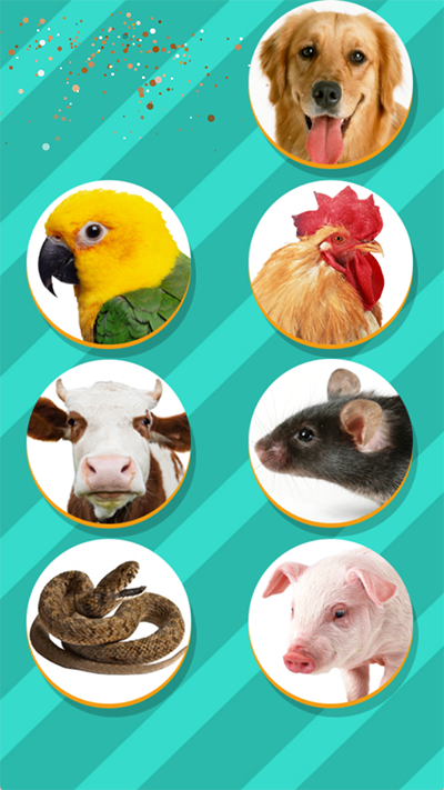 Pet Translator v1.1