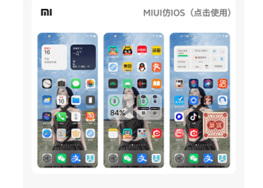 主题库