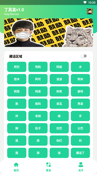 丁真盒最新版 v1.0