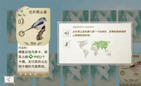 展翅翱翔桌游