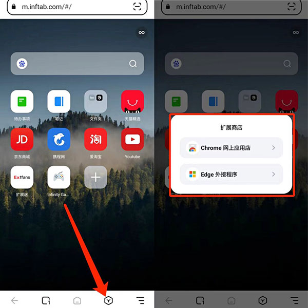Lemur Browser9