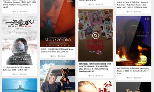 音范丝App下载最新版截图