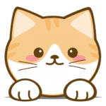 橘猫4K影视纯净版