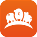 好多猪生猪交易平台 v4.1.6