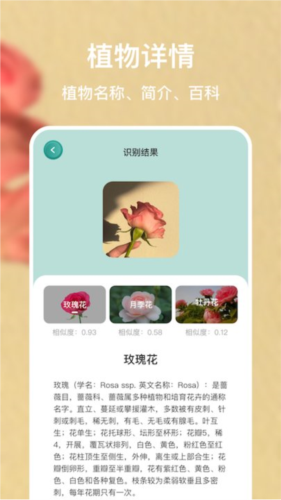 花之灵