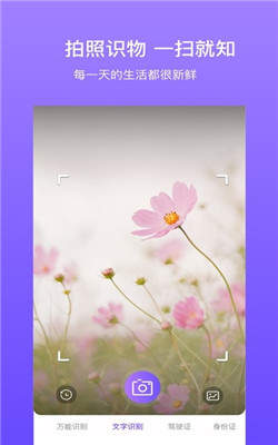 拍拍识图app v2.5.2安卓版下载