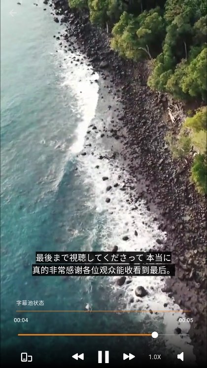 SubCat字幕猫截图5