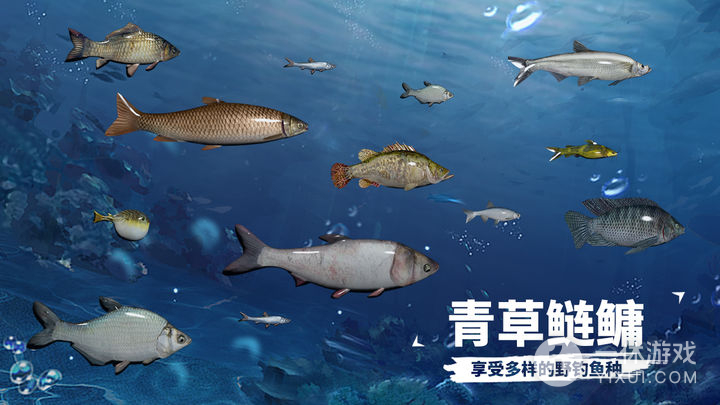 天天钓鱼截图3