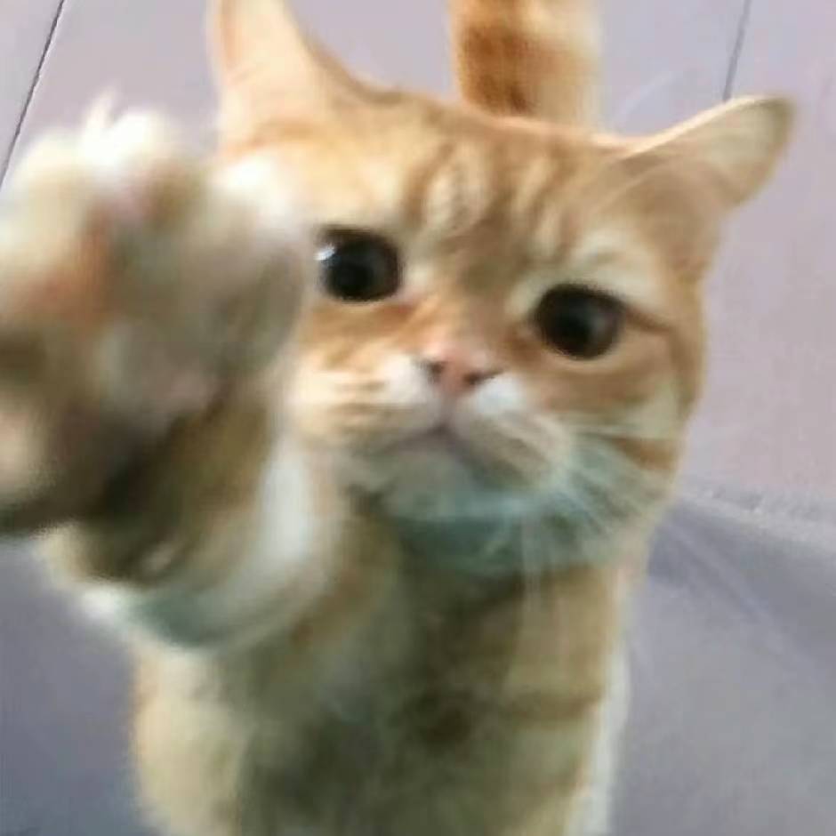 RD软件库app手机安卓版MqN官方最新版