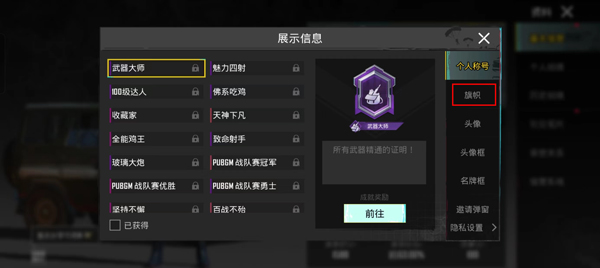 绝地求生国际体验服兼容版