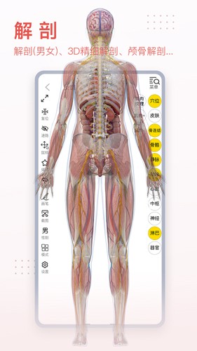 3Dbody׿v8.8.51