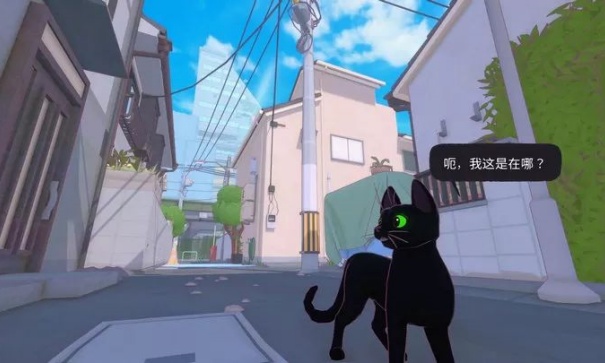 小猫咪大城市正版