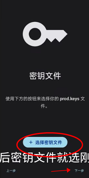 Sudachi模拟器