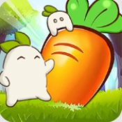 暖心小院子手机版下载 v1.0.1