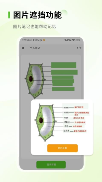 Anymo图片1