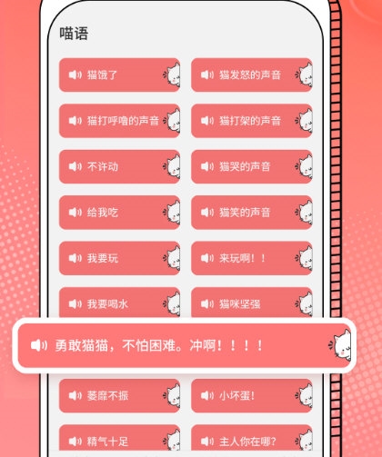 Cat Translation4