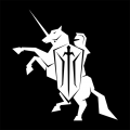 黑骑士 v1.1.9安卓版下载