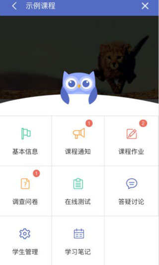 优慕课在线教育移动端