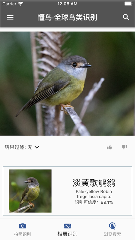 懂鸟app v1.0.17安卓版下载