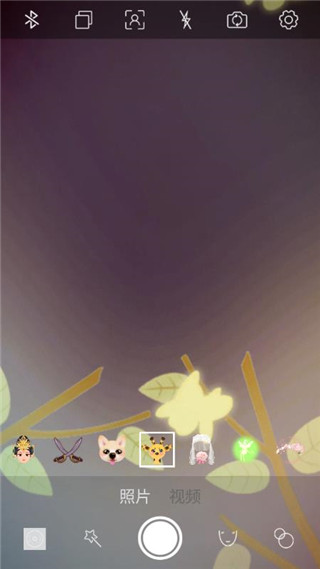 趣追拍app手机版