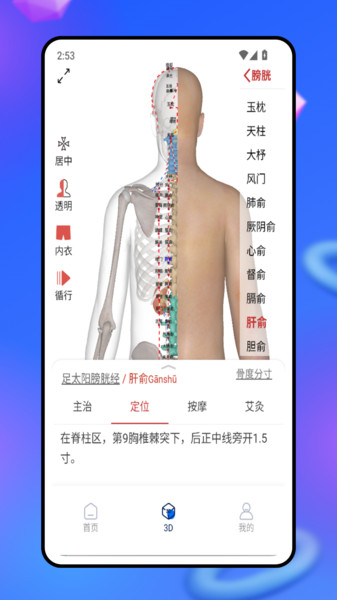 3d人体模型