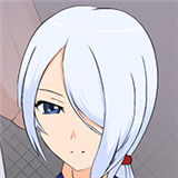 斗技女王赛琳娜下载 v1.0.0