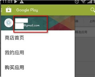 google play store (android)