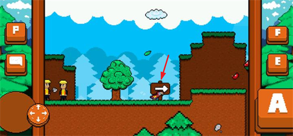 最后的金刚鹦鹉