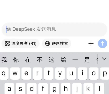 deepseeker2