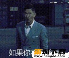 预览图2