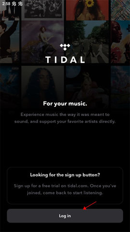 TIDAL无广告版