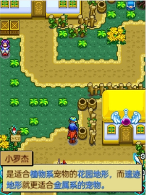 宠物王国4(上帝版)截图1