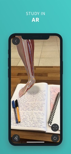 completeanatomy中文版 v9.5.0