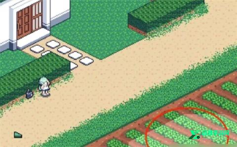 寻找夏日的宝物汉化版