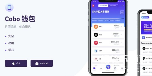 cobo钱包忘记密码怎么办，cobo钱包如何重置密码？