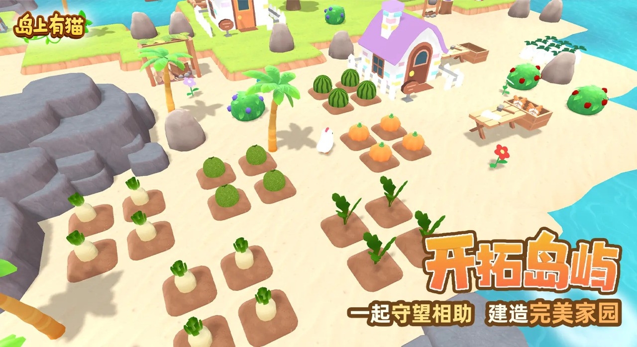 岛上有猫官方版下载 v1.0.0